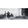 image:imageDays Gone Standard  PC Online Game Code