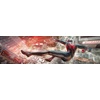 image:imageMarvels SpiderMan Miles Morales Standard  PC Online Game CodeSteam