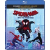 image:imageSpiderMan Into the SpiderVerse  Bluray  DVD